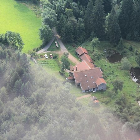 Gites De La Racine Girmont-Val-dʼAjol Zewnętrze zdjęcie